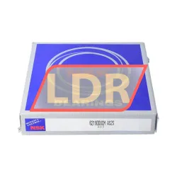 NSK 6219DDU CM AS2S rulman resim 3