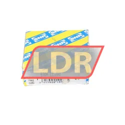 SNR 6004-ZZ-J30 rulman resim 3