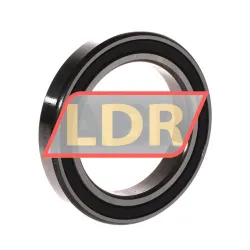 SKF 61911-2RS1