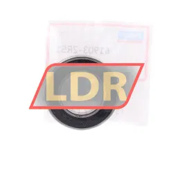 SKF 61903-2RS1