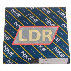 NKE 6013-C3 rulman resim 4