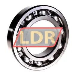 SKF 6221