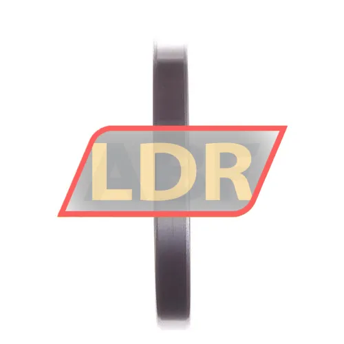 NKE 61813-2RSR ürün fotoğrafı 3