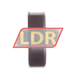 NKE 6204 rulman resim 2