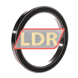 SKF 61824-2RS1
