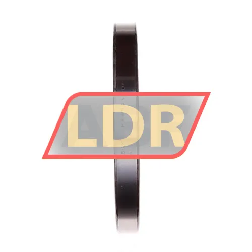 SKF 61824 ürün fotoğrafı 2