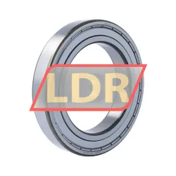 SKF 6021-2Z