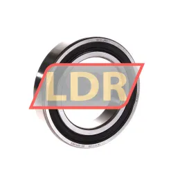 SKF 6010-2RS1