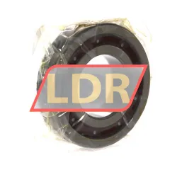 NSK 6208T CG12 P4 rulman resim 2