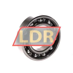 SNR 6006Z rulman resim 2