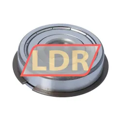SKF 6303-2ZNR rulman resim 2