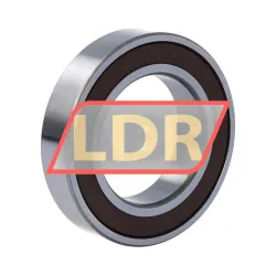 NSK 6009DDUC3E rulman resim 2