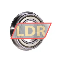 NSK 6007ZZ NR rulman resim 2