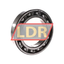 SKF 6016/C4
