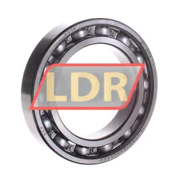 SKF 6016