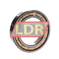 SKF 6014M/C3