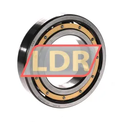 SKF 6313/C3VL0241