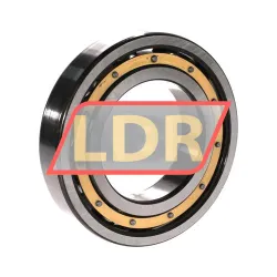 SKF 6313/C3VL0241 rulman resim 2