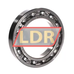 Timken 6019