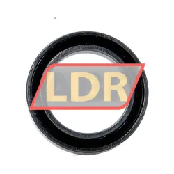 SKF 61805-2RS1/C3 rulman resim 2