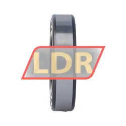 FAG 6006-C-2HRS-C4 rulman resim 3