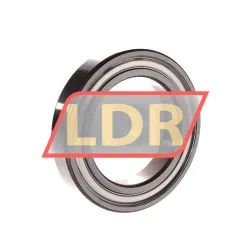 FAG 6013-2Z-L069-C3 rulman resim 2