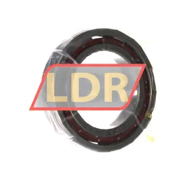NSK 6010TCG12P4 rulman resim 2