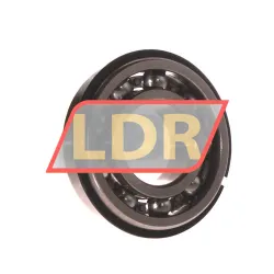Timken 6020-NR rulman resim 2