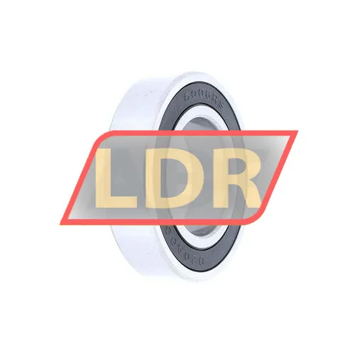 ISB 6006 2RS ürün fotoğrafı 2