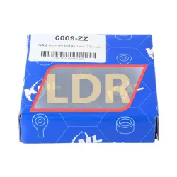 Keep Moving Long 6009ZZ rulman resim 3