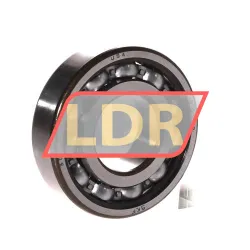 SKF 307