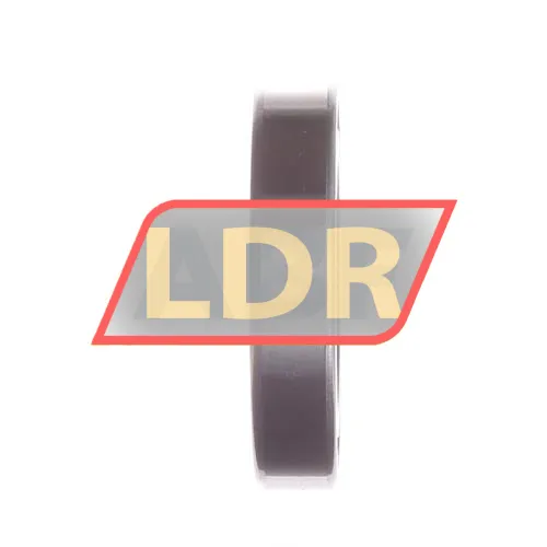 SKF 6010-2RS1/C3WT ürün fotoğrafı 3