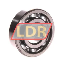 SKF 6306N