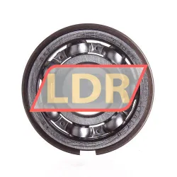 SKF 6305NR