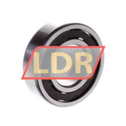 SKF 6205ETN9/C4