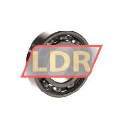SKF 6005 rulman resim 2