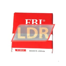 FBJ 6003 2RS rulman resim 3