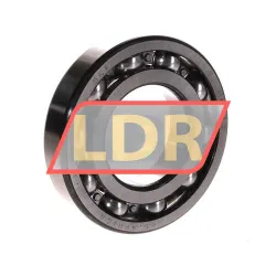 SKF RLS16