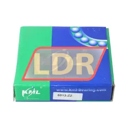 Keep Moving Long 6013ZZ rulman resim 3