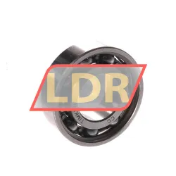 Timken 6002