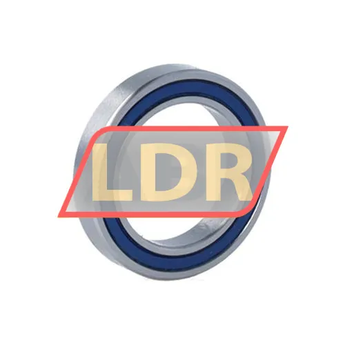 Enduro Bearings MR19285LLB