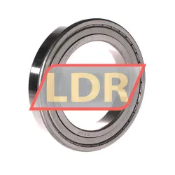 Timken 6021-ZZ