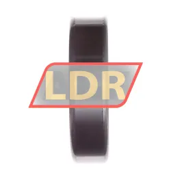 SKF 6310-RS1/C3QE6 rulman resim 4
