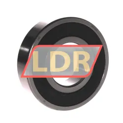 ZKL 6309 2RS