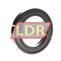 Timken 6020-ZZ-C3