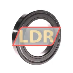 Timken 6020-ZZ-C3 rulman resim 2