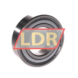 ZKL 6005 2Z rulman resim 2