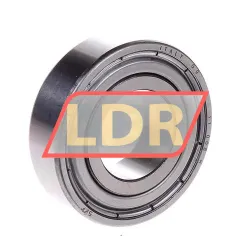SKF 6004-2Z