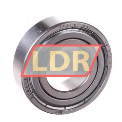SKF 6004-2Z rulman resim 2