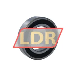 SKF 6007-2RS1/C3WT